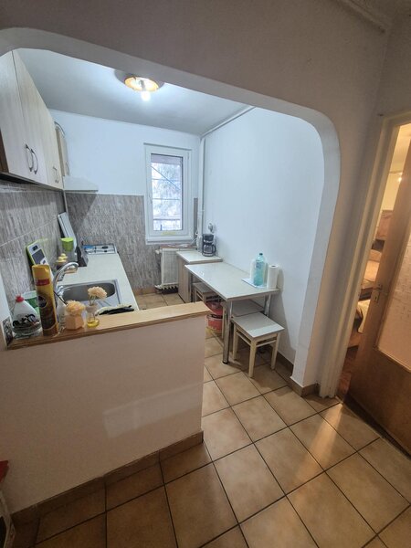 Brancoveanu, Nitu Vasile, Budimex.